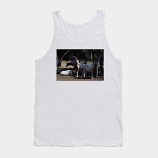 Horns In The Sun Tank Top